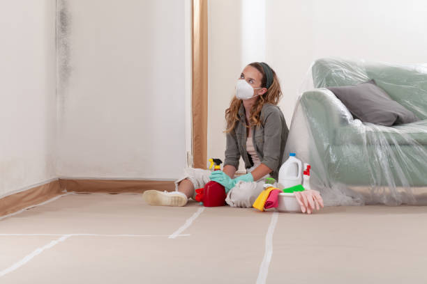 Reliable Mold Testing contractor in Buford, GA by WQB Mold Removal